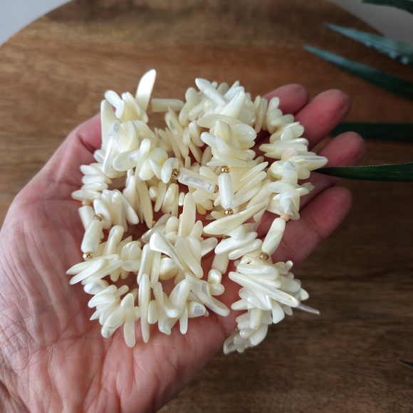 Off White Polished Shell Necklace - Picture 5 of 7